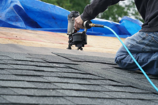 Best Asphalt Shingle Roofing  in Elmo, TX
